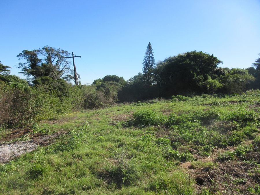 0 Bedroom Property for Sale in Bathurst Eastern Cape